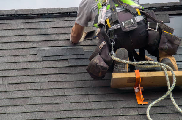 Best Roof Maintenance Services  in Bellefontaine, OH