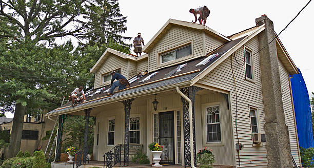 Best Roof Gutter Cleaning  in Bellefontaine, OH